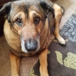 Meet your Posher, Gail